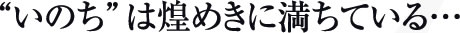 “いのち”は煌めきに満ちている…