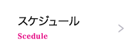 スケジュール