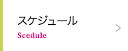 スケジュール